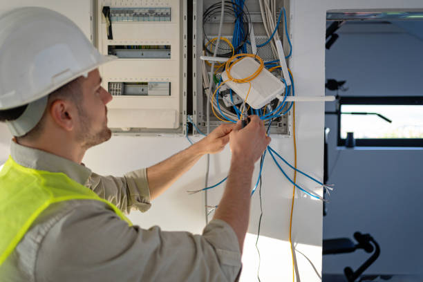 Best Electric Panel Repair  in Menard, TX